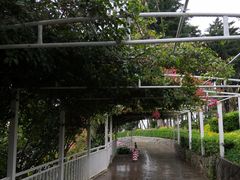 -南诏风情岛
