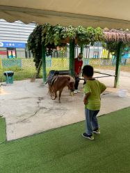 -萌宠亲子动物乐园(槐房万达店)