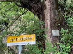 -大慈岩风景区