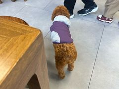 -泉市鲜活牛肉面(杭州太合商业中心店)