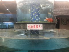 -天怡·鱼工厂(临江店)