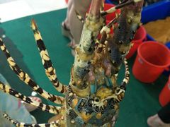 -QQ海鲜餐厅