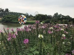-南沙蒲洲花园