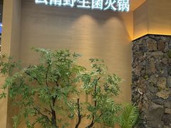 -季季山·云南野生菌火锅(上海首店)