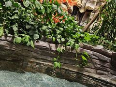 -嘉悦汗蒸时代(曙光路店)