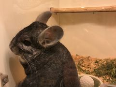 -龙猫仔乐园(惠福东路店)