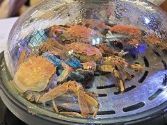 -半岛听涛蒸汽海鲜自助(K11店)