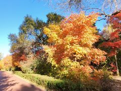 -长春市南湖公园