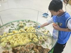 -大连圣亚海洋世界