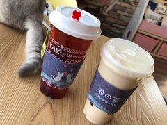 伯爵猫茶-猫的茶·猫咖