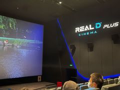 -奥斯卡升龙国际影城(RealD Cinema)