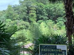 -云溪植物园