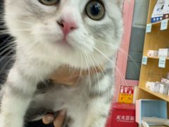 -全心全意连锁动物医院·微创中心·内科急重症·心脏专科(丰管路店)