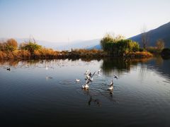 -西昌邛海湿地