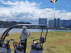 -洱海月湿地公园