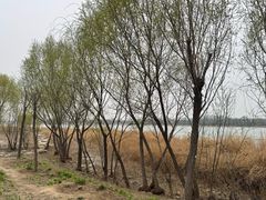 -绿堤公园