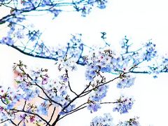 -浙江大学(玉泉校区)