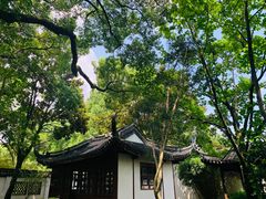 -上海醉白池公园