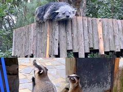 -云南野生动物园
