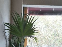 -Laures·月桂西班牙碳烤餐厅(十尚坊店)