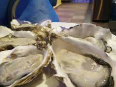 -千岛蚝高压锅生蚝·人参火锅(白云万达店)