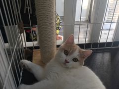 -白衬衫照相馆(五彩店)