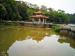 -深圳仙湖植物园