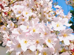 -永乐路-路侧停车场