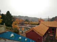 -遵化市禅林寺古银杏风景园