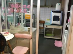-十年猫舍·猫咪专门店(普陀店)