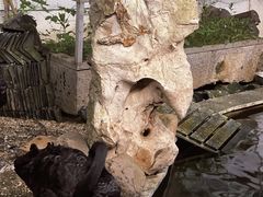 -湖鲜楼
