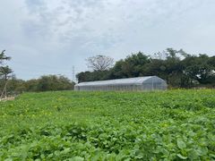 -长洲岛都市农业公园