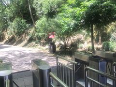 -灵栖洞天