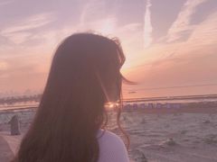 -合肥滨湖国家森林公园