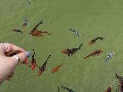 -西安华清御汤酒店