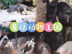-长鹿旅游休博园