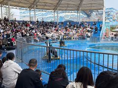 -华夏文旅海洋公园