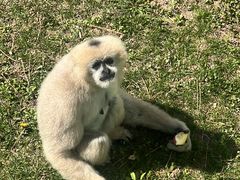 -西霞口神雕山野生动物世界