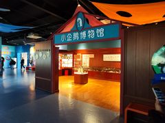 -海合安武汉极地海洋公园