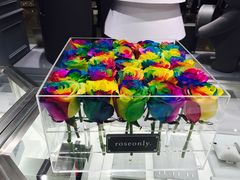-ROSEONLY诺誓(沈阳万象城店)