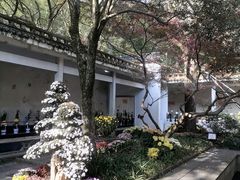 -杭州植物园