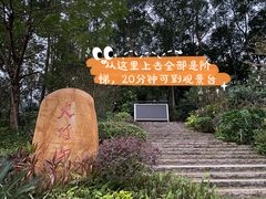 -火炉山森林公园