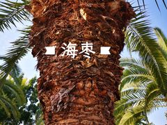 -厦门海湾公园游乐场