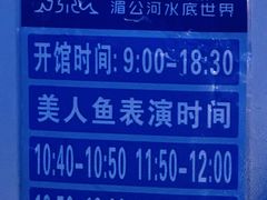 -西双版纳原始森林公园