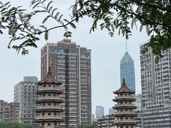 -宝岛公园