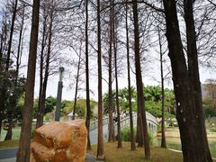 -四海公园(南山区)