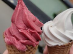 椰子冰淇淋-喜茶(永旺梦乐城店)