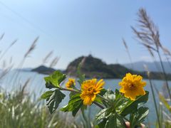 -小桂湾