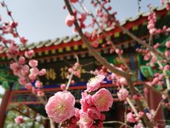 -德胜公园