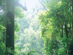 -青城山